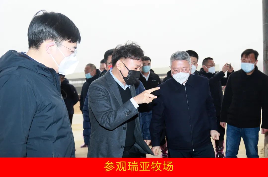新年開新局 合作促發展丨佳木斯市委常委、副市長閆志剛一行蒞臨花花牛乳業集團及佳田企業考察座談