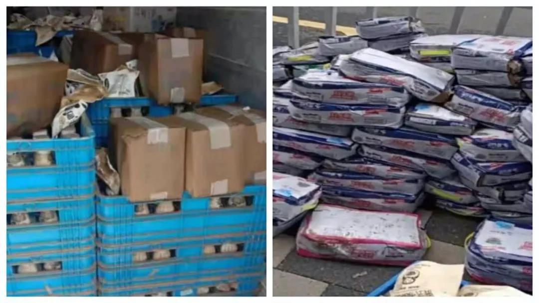 【乳報·聚焦】“豫”難而上的中原牛人“太中了”！